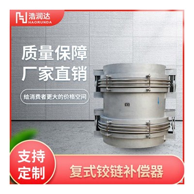 复式铰链补偿器