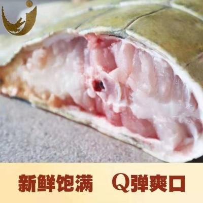 鳄鱼尾