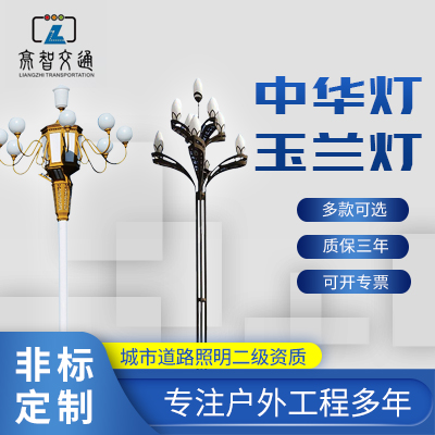 厂家直供中华灯玉兰灯市政道路街道广场亮化景观照明中华灯定制